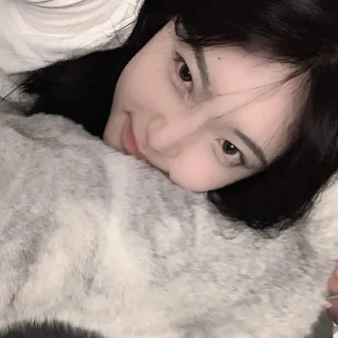 灵犬莱西