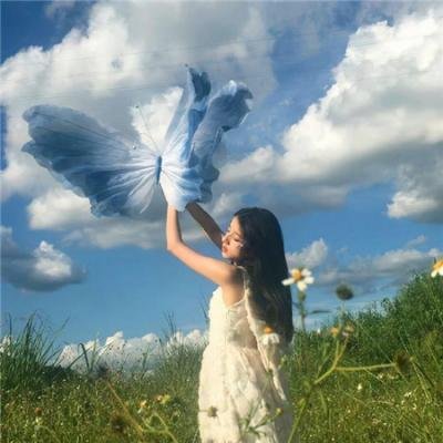 矢野同学观察日记